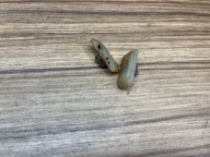 STIHL MS 192 TC ŚLIZG ŚLIZGI PROWADZENIE ŁAŃCUCHA KOMPLET ORG