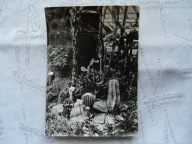 GLIWICE PALMIARNIA TE KŁUJĄCE KAKTUSY