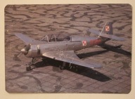 TS-8 Bies - CIEKAWOSTKA