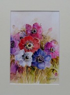 Akwarela pt. Anemony 11