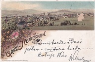 Neutitschein litografia herb miasta do Lwów 1897 r.