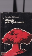 Wąwóz pod Rjukanem