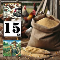 Śruta z kukurydzy GRUBA 15kg - prosto od rolnika