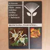 Piskornik Mało znane ozdobne rośliny cebulowe i bulwiaste błonczatka tygrys