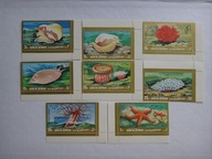 Umm Al Qiwain 1972, Koralowce, fauna morska