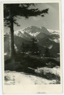 ZAKOPANE - TATRY - WIDOK NA GIEWONT