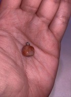 Wisiorek, do wisiorka różowy koralowy cielisty kamień