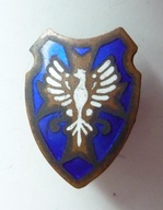 NKN ORZEŁ PATRIOTYCZNY - Naczelny Komitet Narodowy Galicja Kraków