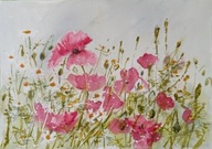 Akwarela Obraz Kwiaty polne