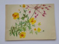 Stary telegram - Kwiaty polne - proj. A. Balcerzak