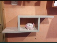 PÓŁKA wisząca na ściane eve mocowania UKRYTE