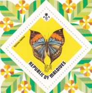 Malediwy 1973 ** cena 33,90 zł kat.25€ - motyl