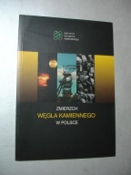 Zmierzch węgla kamiennego w Polsce. Wilczyński