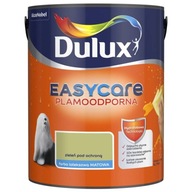 Dulux EasyCare Farba Ścienna Zieleń pod ochroną 5L