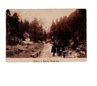 Kominy w Dolinie Strążyskiej