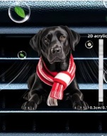 Zapach 2D PIESEK do samochodu na kratkę nawiewu PREZENT