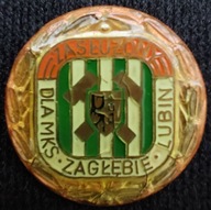 Zagłębie Lubin-zasłużony (DŚ)