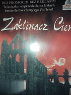 Zaklinacz Cieni Taylor