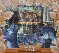 T.0272*B BLOCZEK FAUNA SSAKI KOTY DOMOWE GATUNKI, zwierzęta domowe