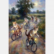 Koty na rowerze obraz na płótnie 55x80 kot rower pole droga maraton wieś