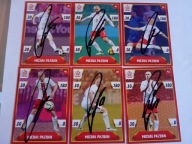 Karty panini autografy Polska Michał Pazdan PZPN x 6