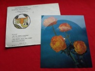 SOŚNICKA nie ma drogi dalekiej SIPIŃSKA the bright days POCZTÓWKA DŹWIĘKOWA