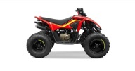Quad ATV CF-Moto CFMoto CFORCE 110 dla dziecka kids