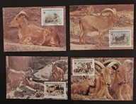 Czad 1988 , WWF: kozica afrykańska karty maksimum