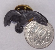 ODZNAKA WPINKA MINIATURKA GAPA LOTNICZA