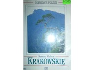 Krakowskie Roman Malarz