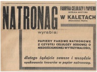 KALETY ŻORY SKOCZÓW STRUMIEŃ BIELSKO PSZCZYNA LUBLINIEC AUTOBUS ŚLĄSK RADIO