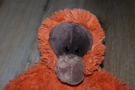 pluszak maskotka małpka Orangutan NICI 25 cm