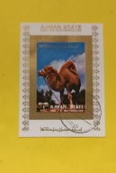 Ajman State. Kasowany bloczek. 02918k