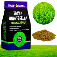 TRAWA NASIONA SAMOZAGĘSZCZAJĄCA MURAWA ZIELONA DO OGRODU UNIWERSALNA 5kg