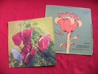 RODOWICZ Stan BORYS dziś prawdziwych cyganów już nie ma POCZTÓWKA DŹWIĘKOWA