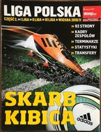 SKARB KIBICA I, II, III LIGA POLSKA WIOSNA 2011 TEMPO, PRZEGLĄD SPORTOWY