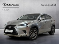 Lexus NX 300h Comfort AWD I (2014-2021) Lexus NX 3