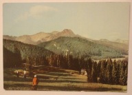 TATRY ZACHODNIE. Widok z Cyrhli Toporowej na Giewont, CZYSTA, 1965 rok