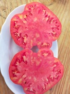 Pomidor Shuntuski Velikan tradycyjny smak duży owoc nasiona kolekcjonerskie