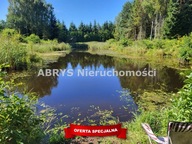 Działka, Różnowo, Dywity, Olsztyński, 11084 m²