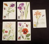 Szwecja 1997 KWIATY MiNr 1997 Mi 1996-2000 KARTY MAKSIMUM