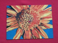 TRUBADURZY ty i zmierzch POCZTÓWKA DŹWIĘKOWA