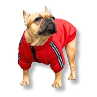 Bluza dresowa ciepła z odblaskami ubranko dla psa buldoga francuskiego XL