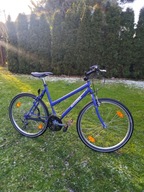 Rower Rekreacyjny Arkus Silver Bike Magura MTB Miejski