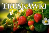 BANER SPRZEDAŻ TRUSKAWEK TRUSKAWKI TRUSKAWKA 120X80 G