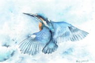 Ptak , ptaki , zimorodek - akwarela z passe - partout