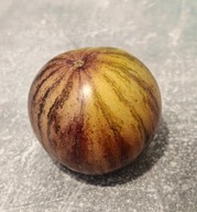 Pomidor Rebel Starfighter Kayleigh Anne (434) nasiona kolekcjonerskie