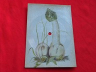 FILIPINKI walentyna twist POCZTÓWKA DŹWIĘKOWA alojzy balcerzak