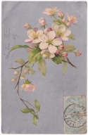 Kwiaty Kwitnąca gałązka jabłoni 1905r. LITOGRAFIA Srebrzona