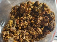 Propolis Kit Pszczeli 100 gram